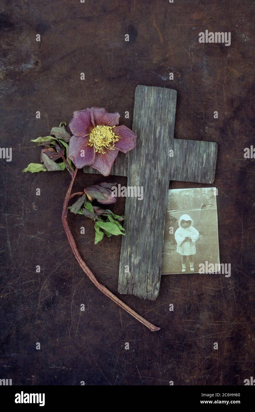 Croix de bois patinée sur métal terni avec rose de Lenton ou Helleborus orientalis décolorés et photo d'un enfant des années 1920 debout dans le parc Banque D'Images