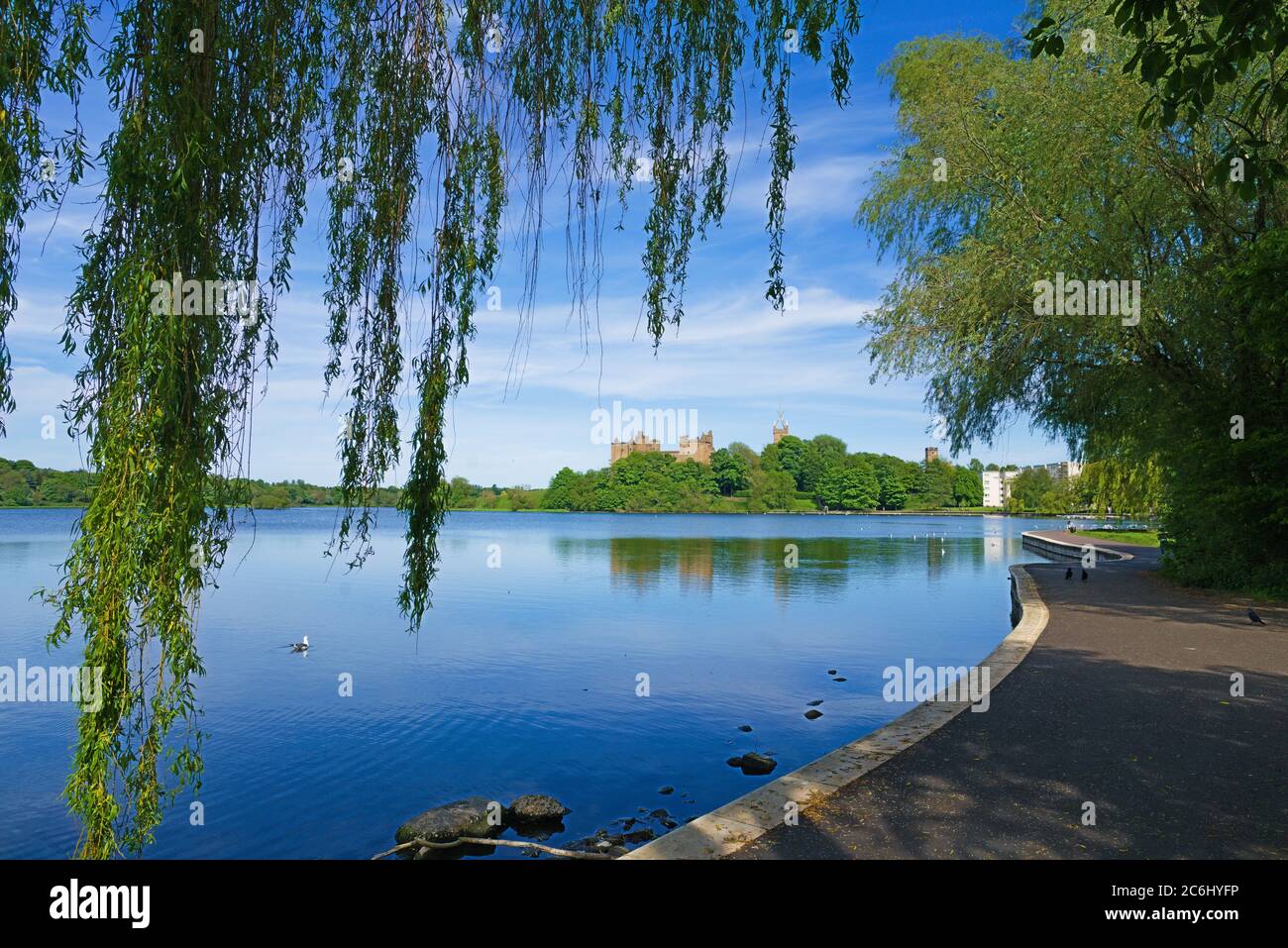 Journée ensoleillée à Linlithgow loch, Peel. Vue à l'est du palais. Eau faible. Saule suspendu, Lothian occidental, centre de l'Écosse, Royaume-Uni. Banque D'Images