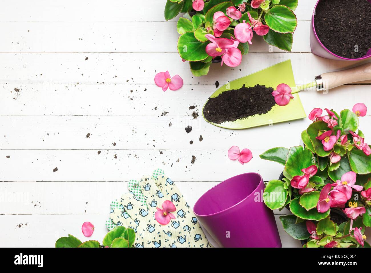 Jardin avec péages et fleurs sur table en bois blanc. Le printemps dans le concept de jardin. Vue de dessus, placer pour le texte. Banque D'Images