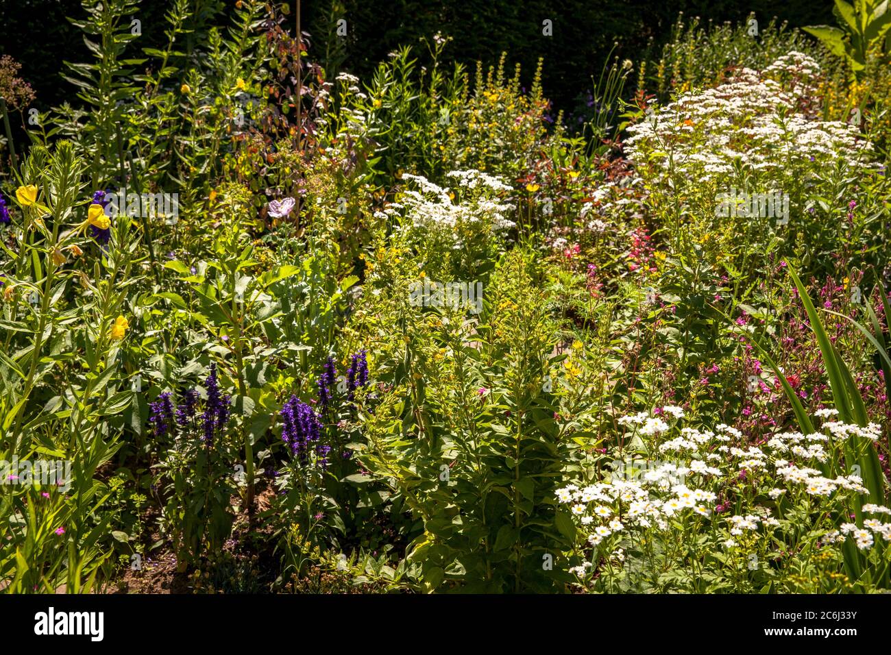 Ferme et jardin d'herbes à la cathédrale d'Altenberg à Odenthal, région de Bergisches, Rhénanie-du-Nord-Westphalie, Allemagne. Bauern- und Kraeutergarten am Banque D'Images