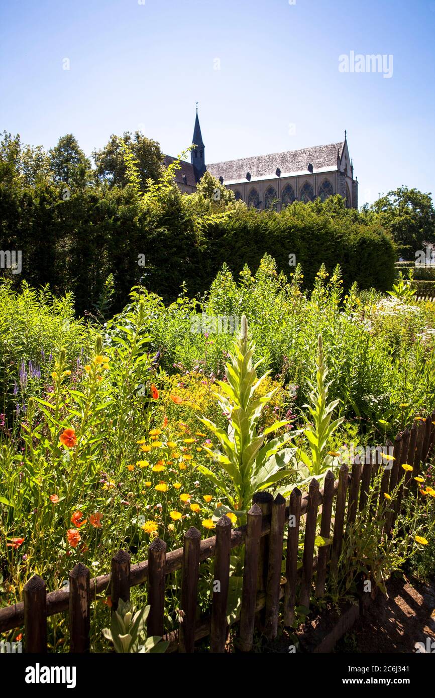 Ferme et jardin d'herbes à la cathédrale d'Altenberg à Odenthal, région de Bergisches, Rhénanie-du-Nord-Westphalie, Allemagne. Bauern- und Kraeutergarten am Banque D'Images
