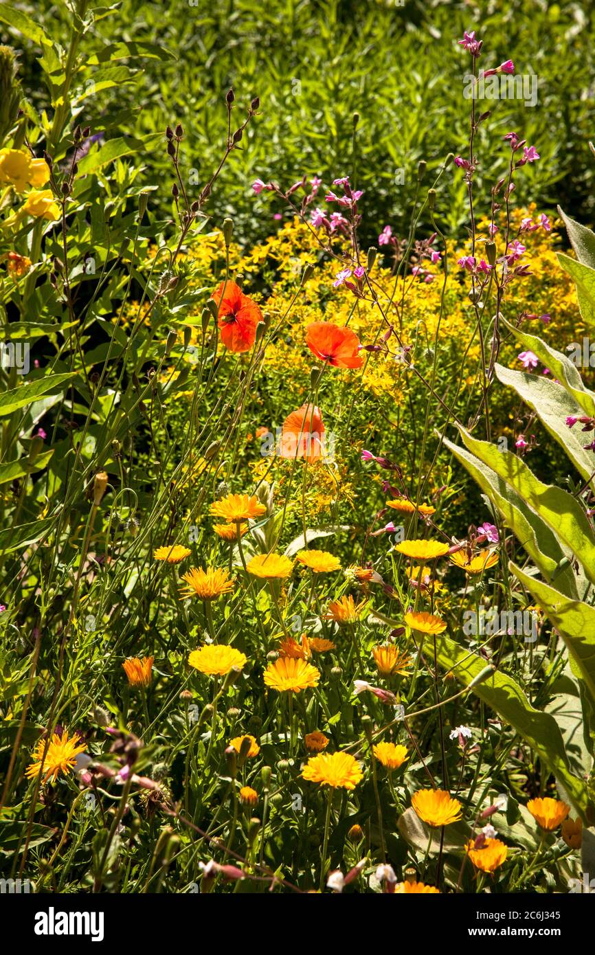 Ferme et jardin d'herbes à la cathédrale d'Altenberg à Odenthal, région de Bergisches, Rhénanie-du-Nord-Westphalie, Allemagne. Bauern- und Kraeutergarten am Banque D'Images