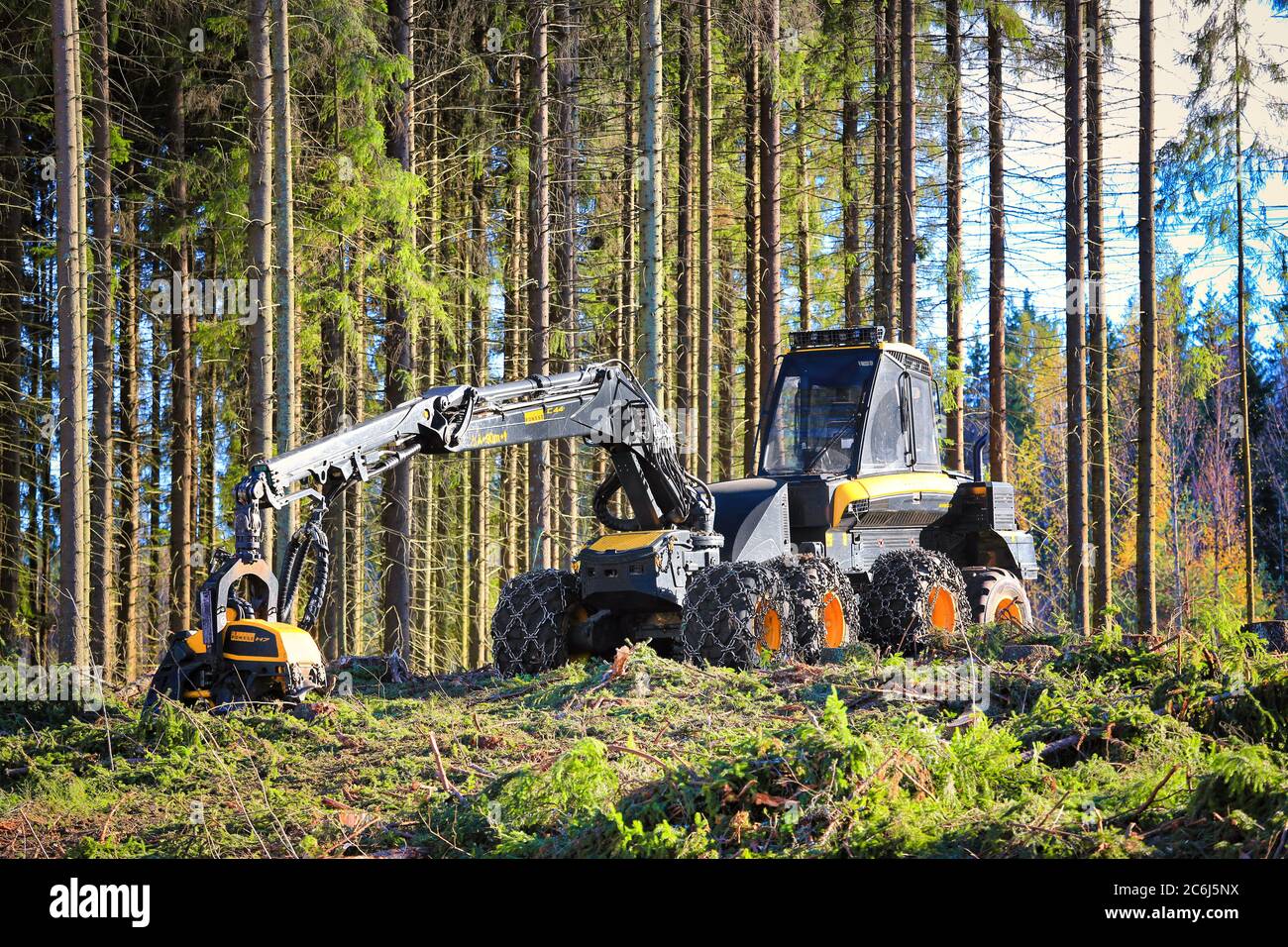 Moissonneuse forestière de la forêt de PONSSE Ergo sur le site d'exploitation forestière de la forêt de conifères automnale. Vihti, Finlande. 1er octobre 2016. Banque D'Images