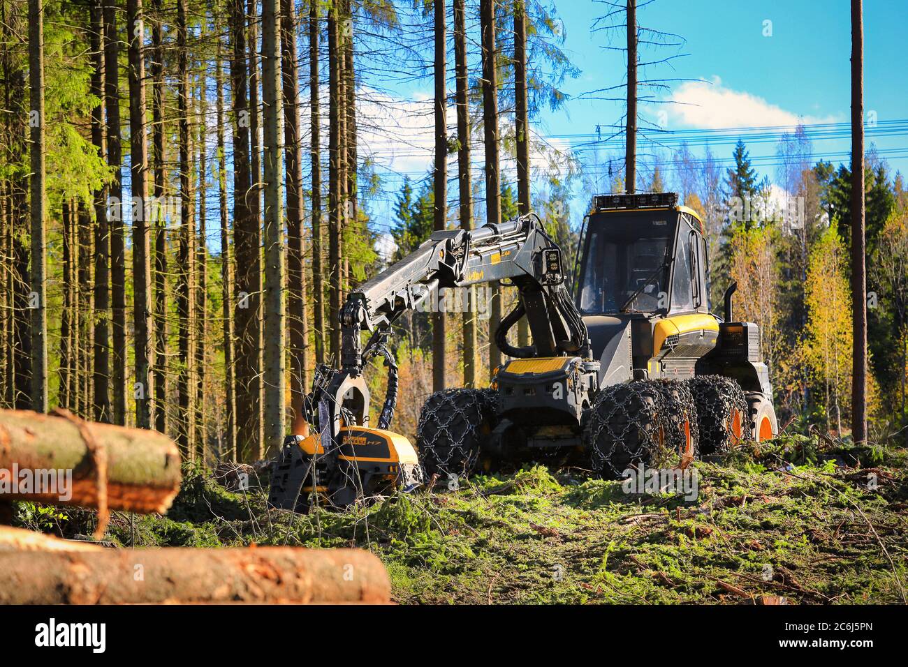 Moissonneuse forestière de la forêt de PONSSE Ergo sur le site d'exploitation forestière de la forêt de conifères automnale. Vihti, Finlande. 1er octobre 2016. Banque D'Images