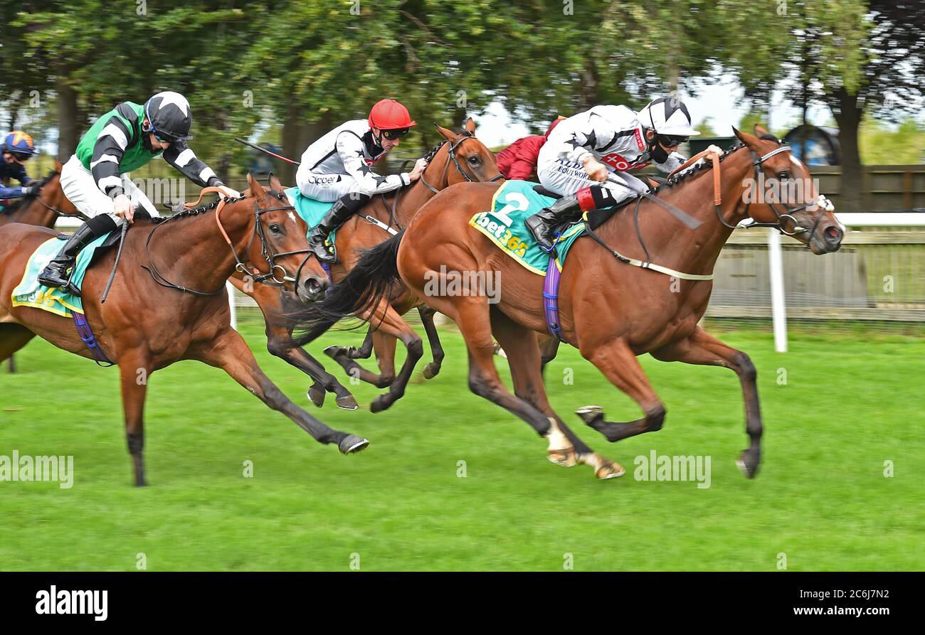 Dandalla et Ben Curtis remportent les enjeux de la duchesse de Cambridge de Santosha et Thomas Greatrex au cours du deuxième jour du festival de juillet Moet et Chandon à l'hippodrome de Newmarket. Banque D'Images