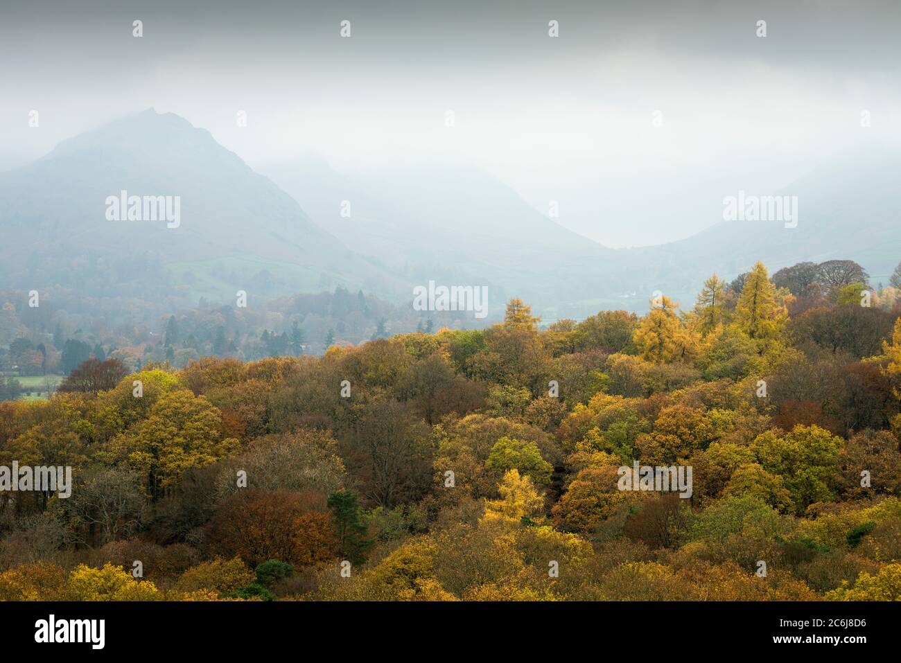 Les bois d'automne de Grasmere avec Helm Crag et Steel sont tombés dans la brume au-delà dans le parc national de Lake District, Cumbria, Angleterre. Banque D'Images