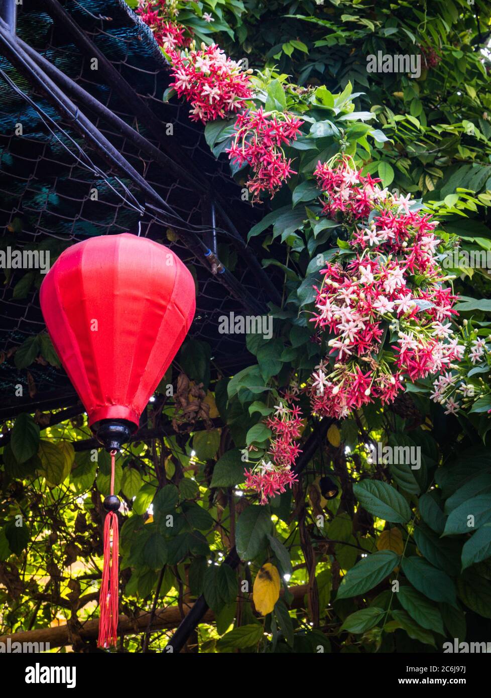 Lanterne rouge vietnamienne suspendue au toit avec petites fleurs rouges et blanches en cascade Banque D'Images
