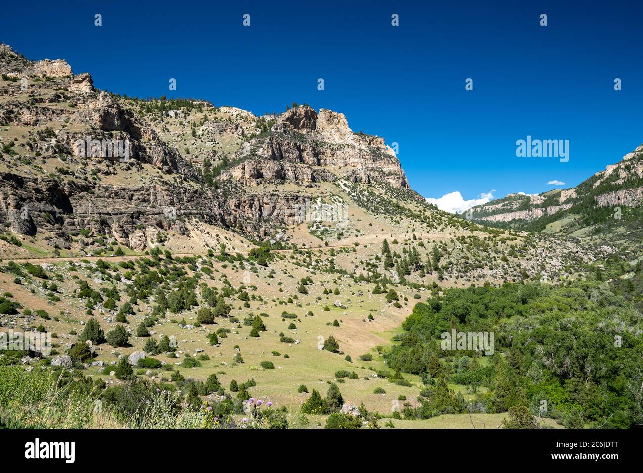 Le canyon de Tensleep, coloré et luxuriant, le long de la route panoramique Cloud Peak (US Highway 16) dans la forêt nationale de Bighorn du Wyoming en été Banque D'Images