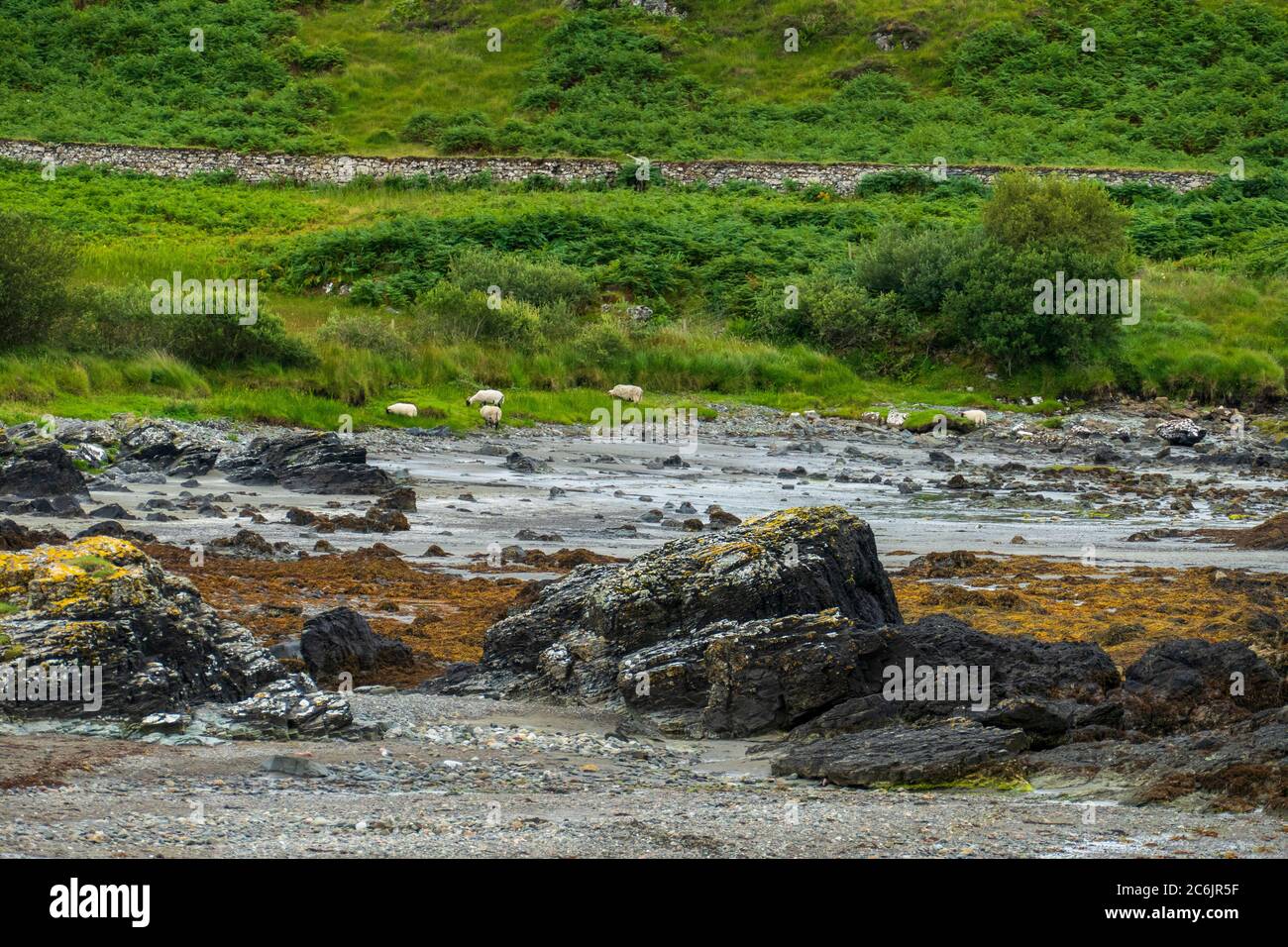 Ord, Am Loch Eishort, Île de Skye, Schottland Banque D'Images Ord, Am Loch Eishort, Île de Skye, Schottland Banque D'Images