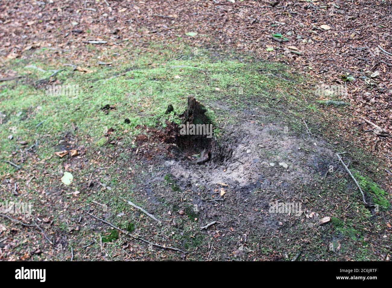 Ancien trou percé dans le sol où l'exploitation du cuivre a eu lieu à Alderley EDGE, à Cheshire, en Angleterre Banque D'Images
