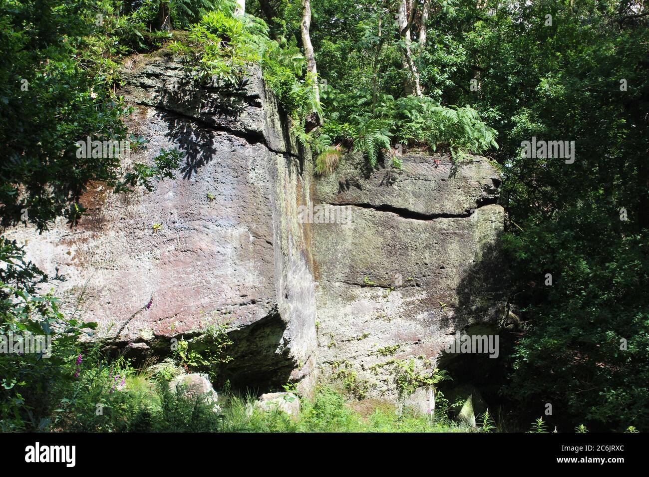 Des faces de roche plates surcultivées à Alderley Edge à Cheshire, en Angleterre Banque D'Images