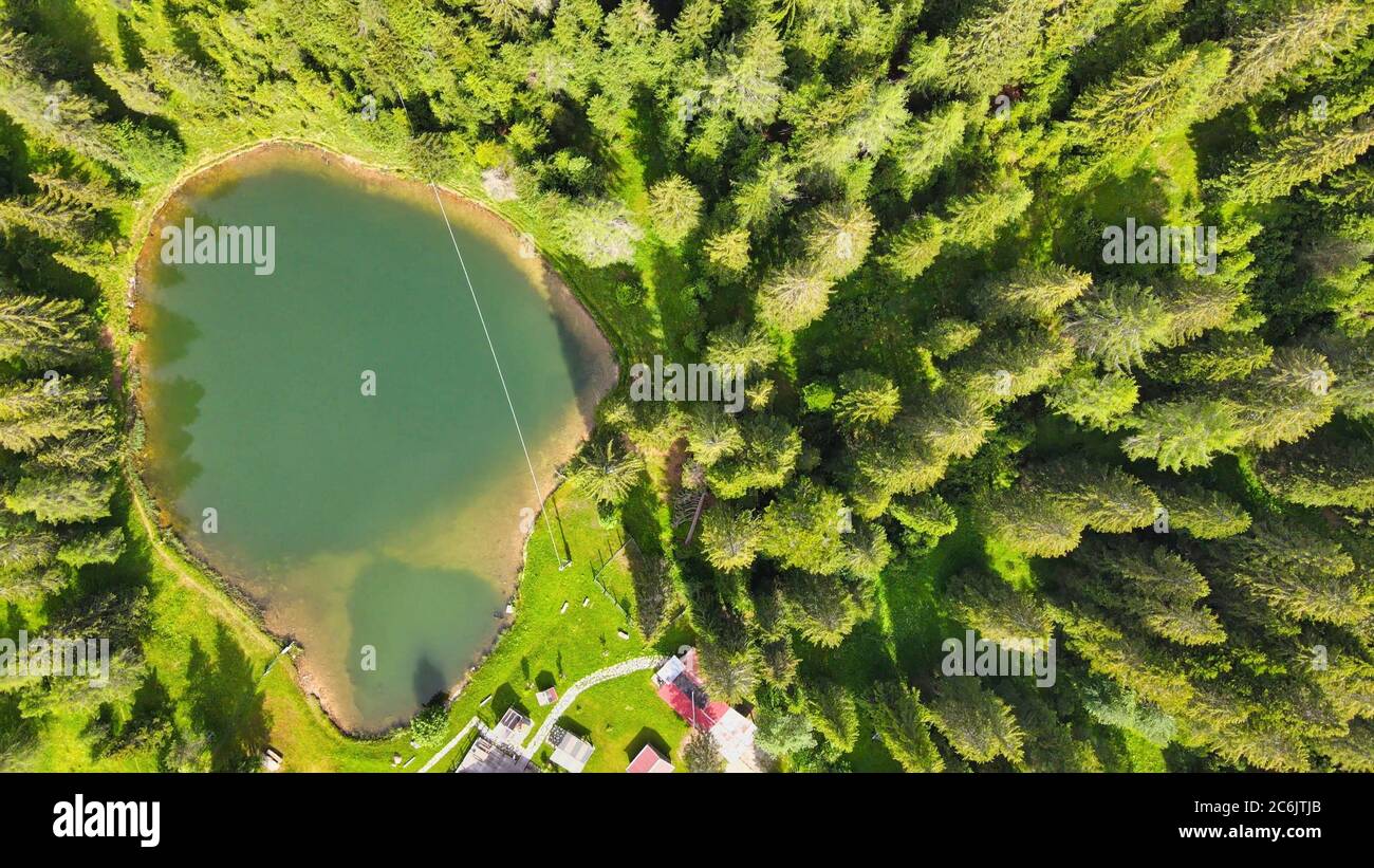 Lac alpin en été entouré par une belle forêt, vue aérienne en hauteur. Banque D'Images