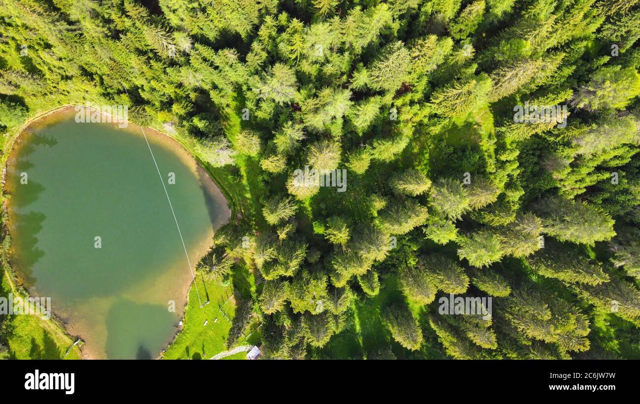 Lac alpin en été entouré par une belle forêt, vue aérienne en hauteur. Banque D'Images