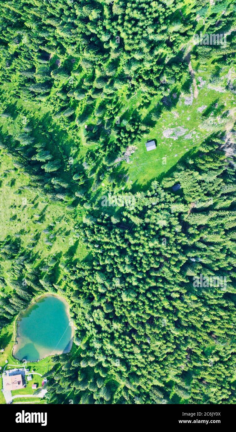 Lac alpin en été entouré par une belle forêt, vue aérienne en hauteur. Banque D'Images