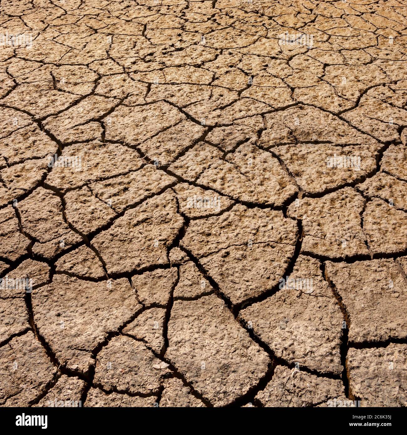 Terre sèche et craquée dans une casserole de sel séchée dans le parc national d'Etosha en Namibie, en Afrique. Banque D'Images