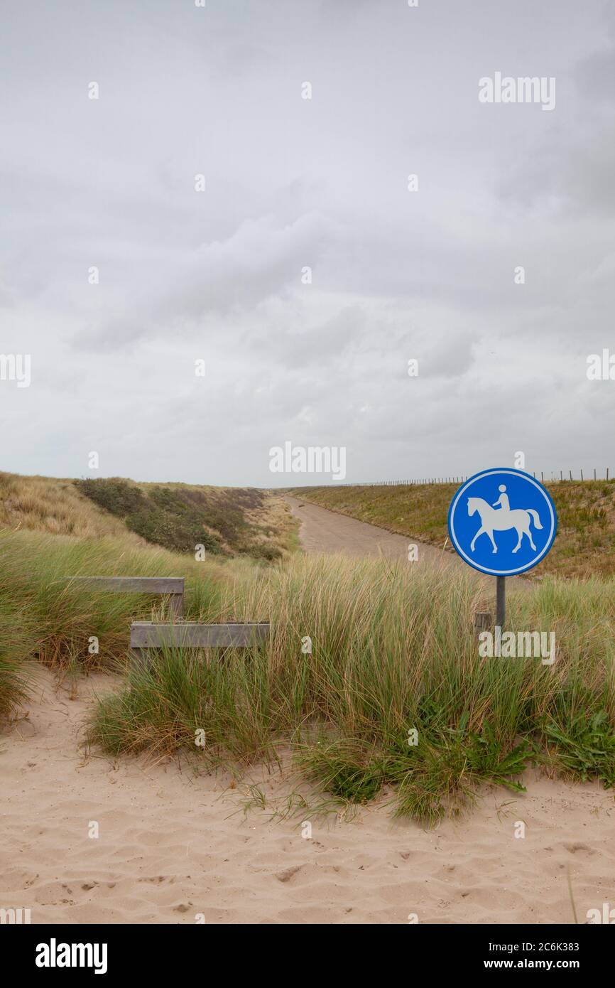 Panneau bleu pour les cavaliers sur la plage de Putten aux pays-Bas. La route sans touristes après la pandémie du coronavirus. Banque D'Images