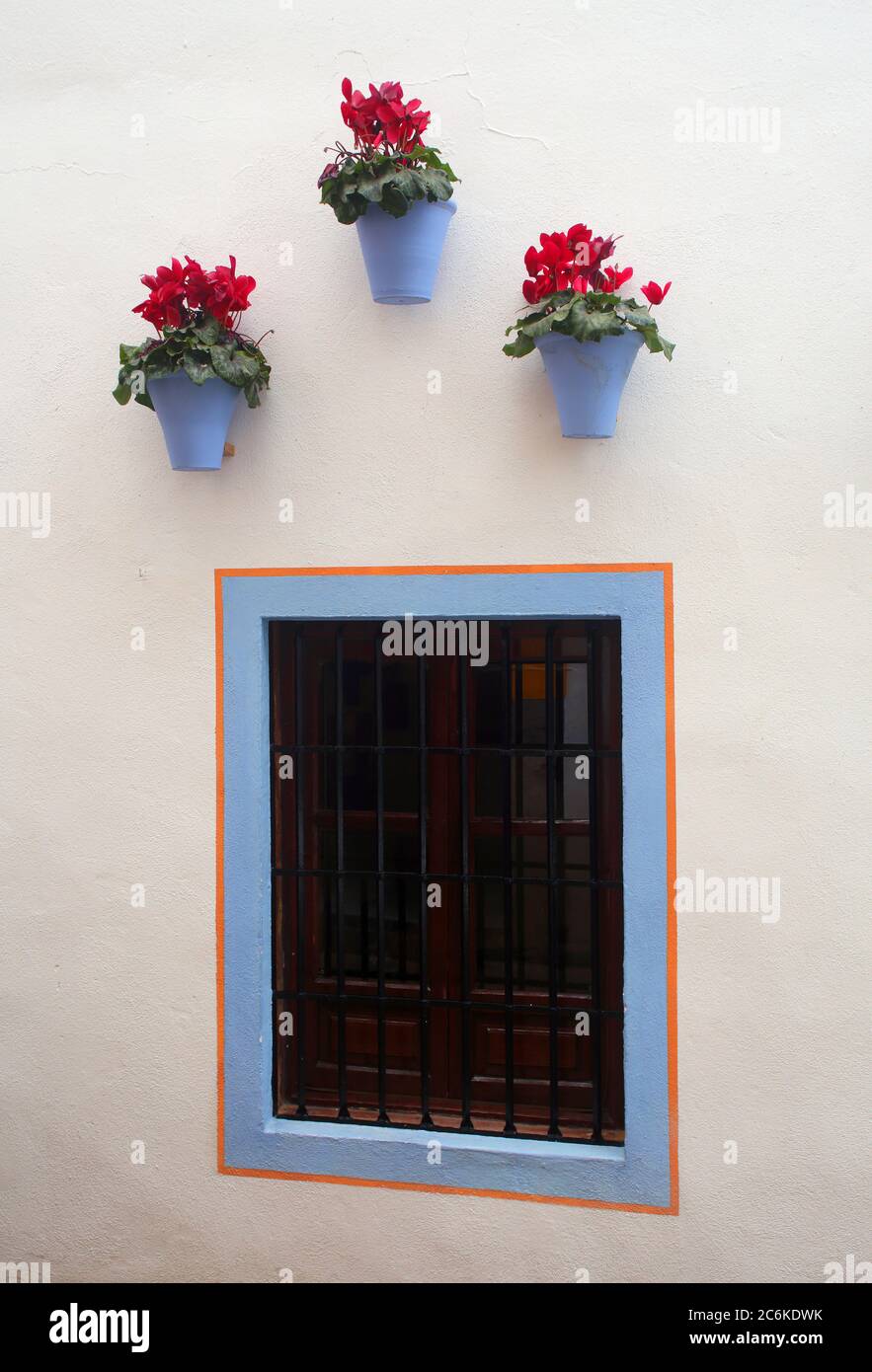 Espagne, Andalousie, Cordoue. Fleurs bleu pâle aux fleurs rouges et fenêtre typiquement bleue bordée d'un mur de patio blanchi à la chaux au printemps. Banque D'Images