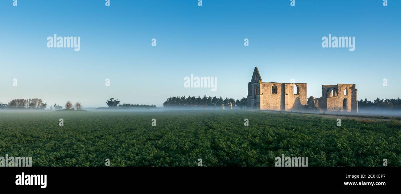 Vue panoramique sur les ruines de l'abbaye de châteliers (île de Re) avec myst Banque D'Images