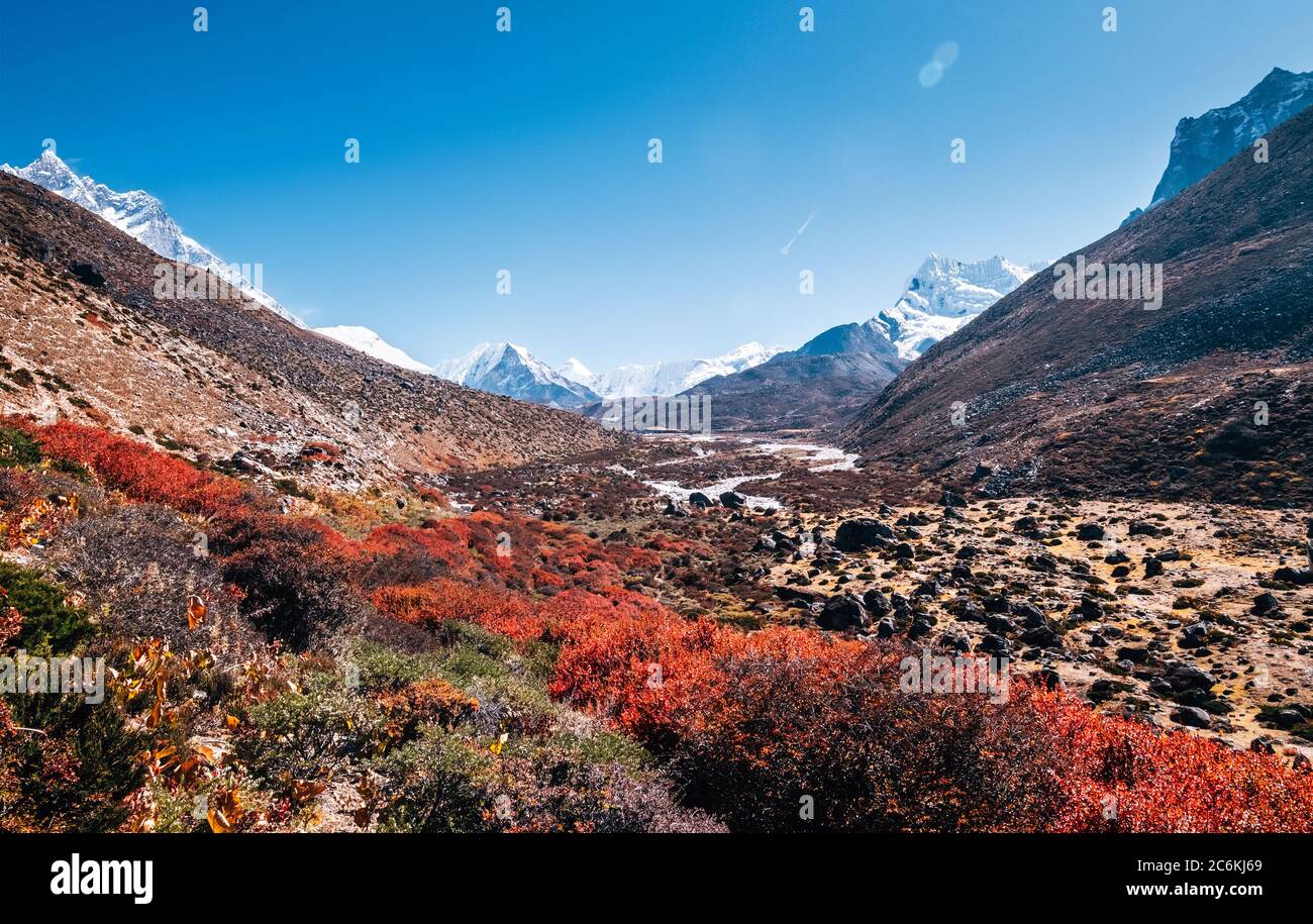 Zone 'toundra' dans Hymalayas. Royaume d'arbustes et de mousses près de la colonie de Dingboche dans le parc national de Sagarmatha, au Népal. Randonnée dans le camp de base de l'Everest Banque D'Images