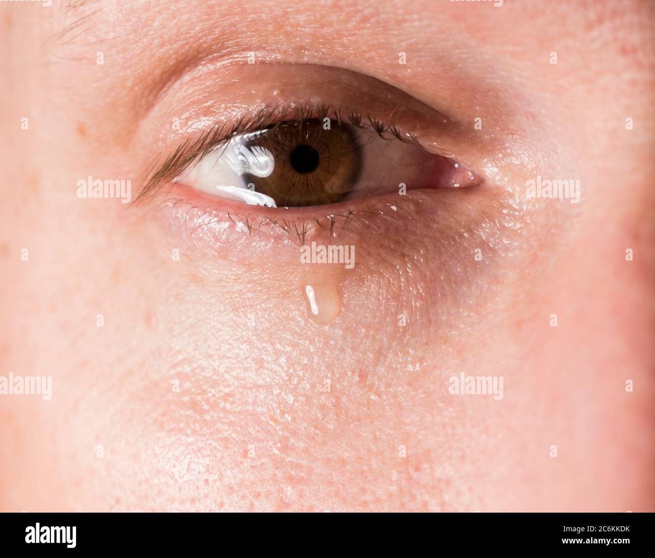 Vue rapprochée des pleurs. Goutte d'eau provenant de l'œil marron. Banque D'Images