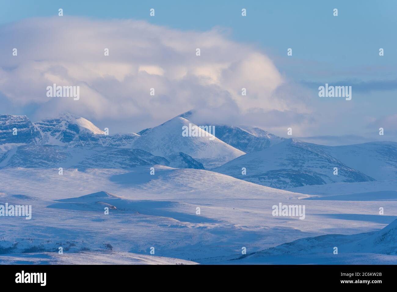 Parc national de Dovrefjell de Norvège en hiver. Paysage arctique Banque D'Images
