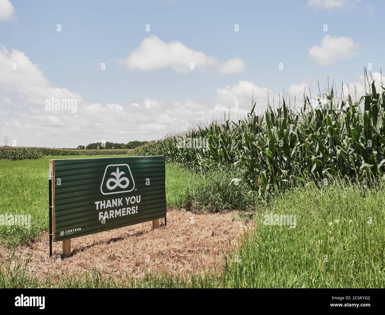 Merci agriculteurs signez à côté d'un maïs d'un agriculteur local dans le comté d'Autauga, Alabama, États-Unis. Banque D'Images