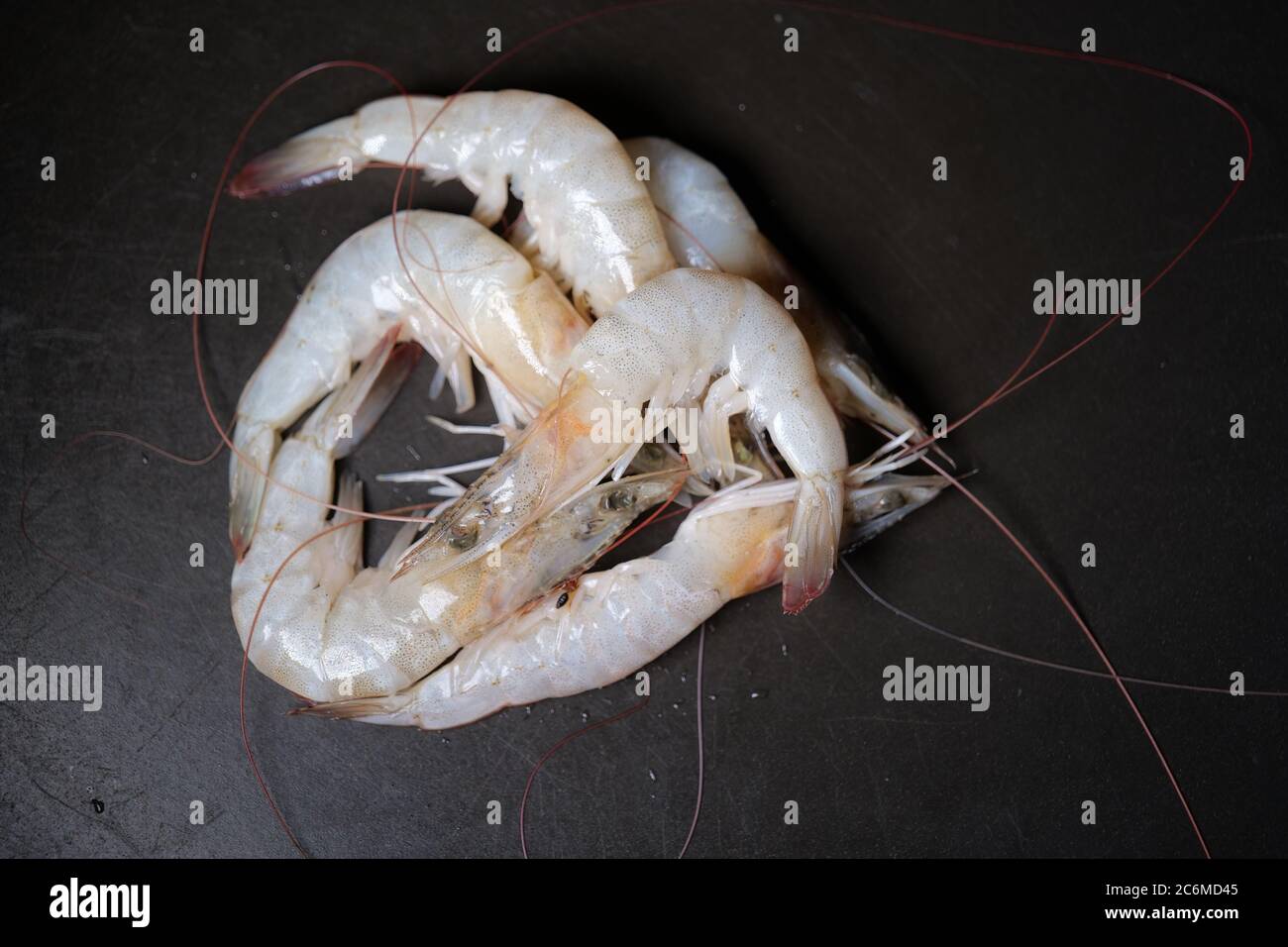 Crevettes sur une assiette noire avec gouttes d'eau Banque D'Images