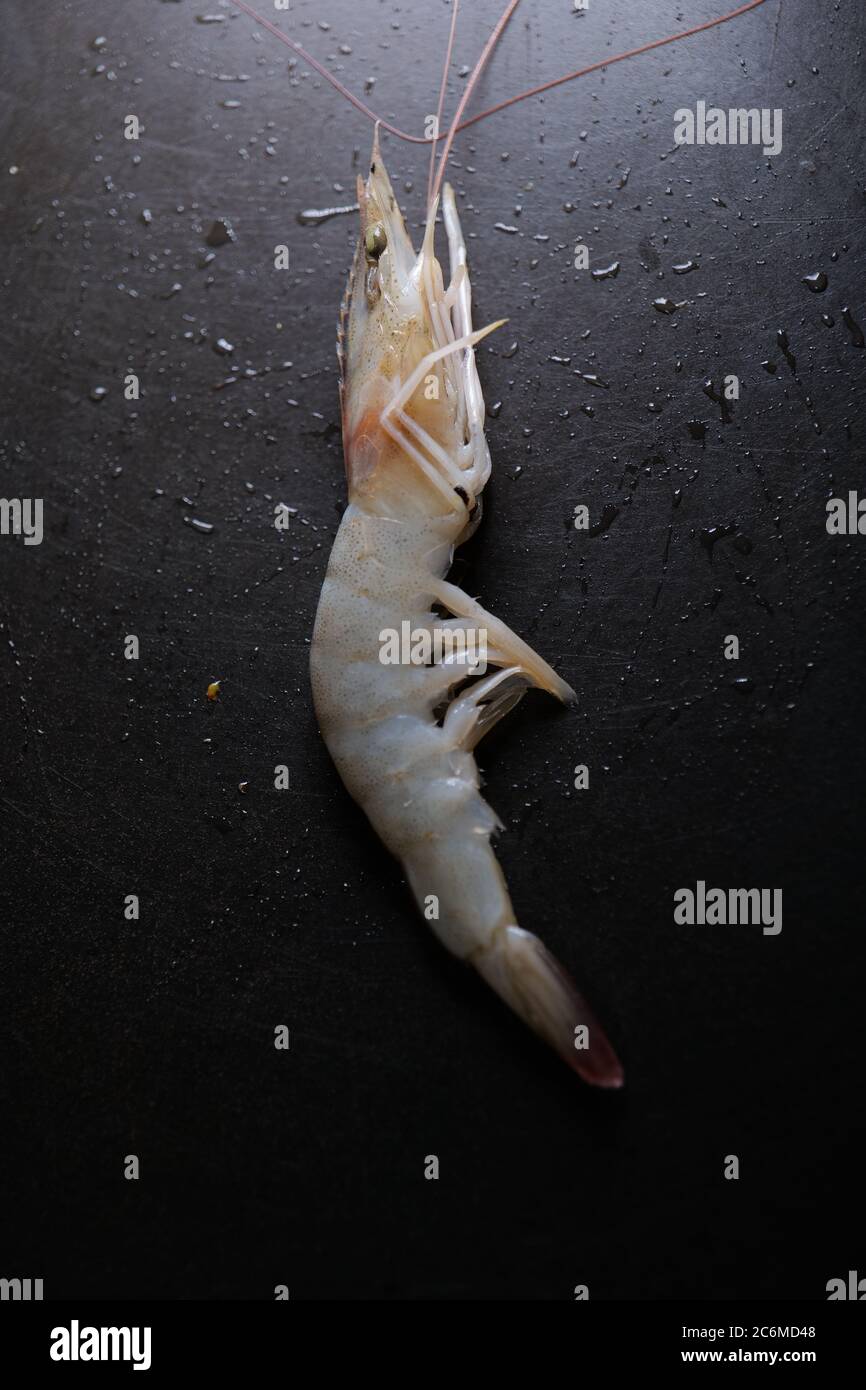 Crevettes sur une assiette noire avec gouttes d'eau Banque D'Images