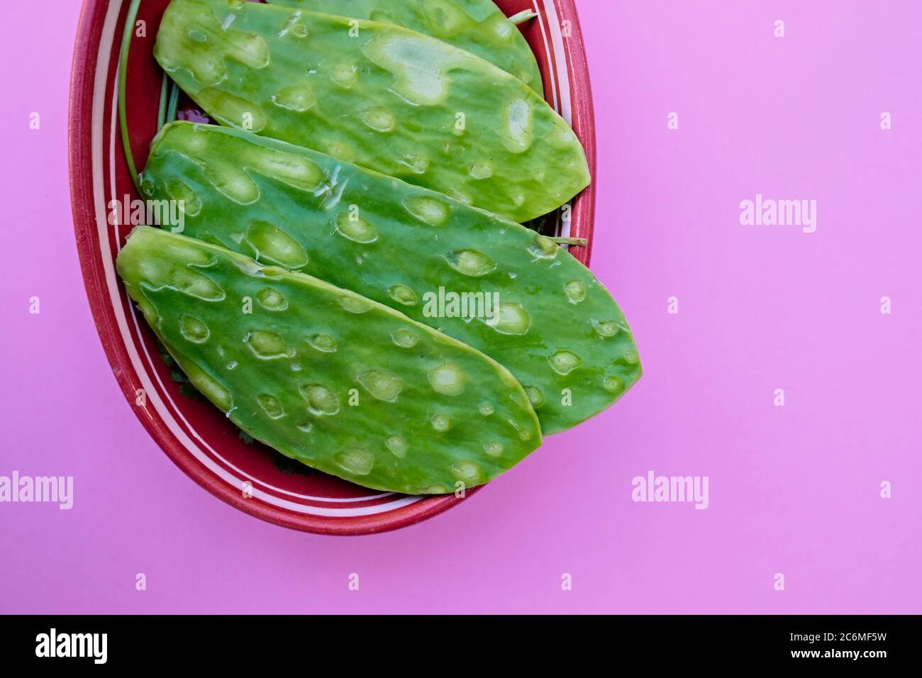 Nopal frais (Cactus comestible mexicain), tampons propres sans épines sur une plaque en argile traditionnelle Banque D'Images