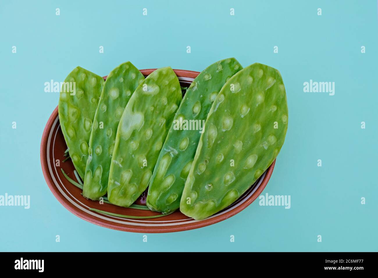 Nopal frais (Cactus comestible mexicain), tampons propres sans épines sur une plaque en argile traditionnelle Banque D'Images