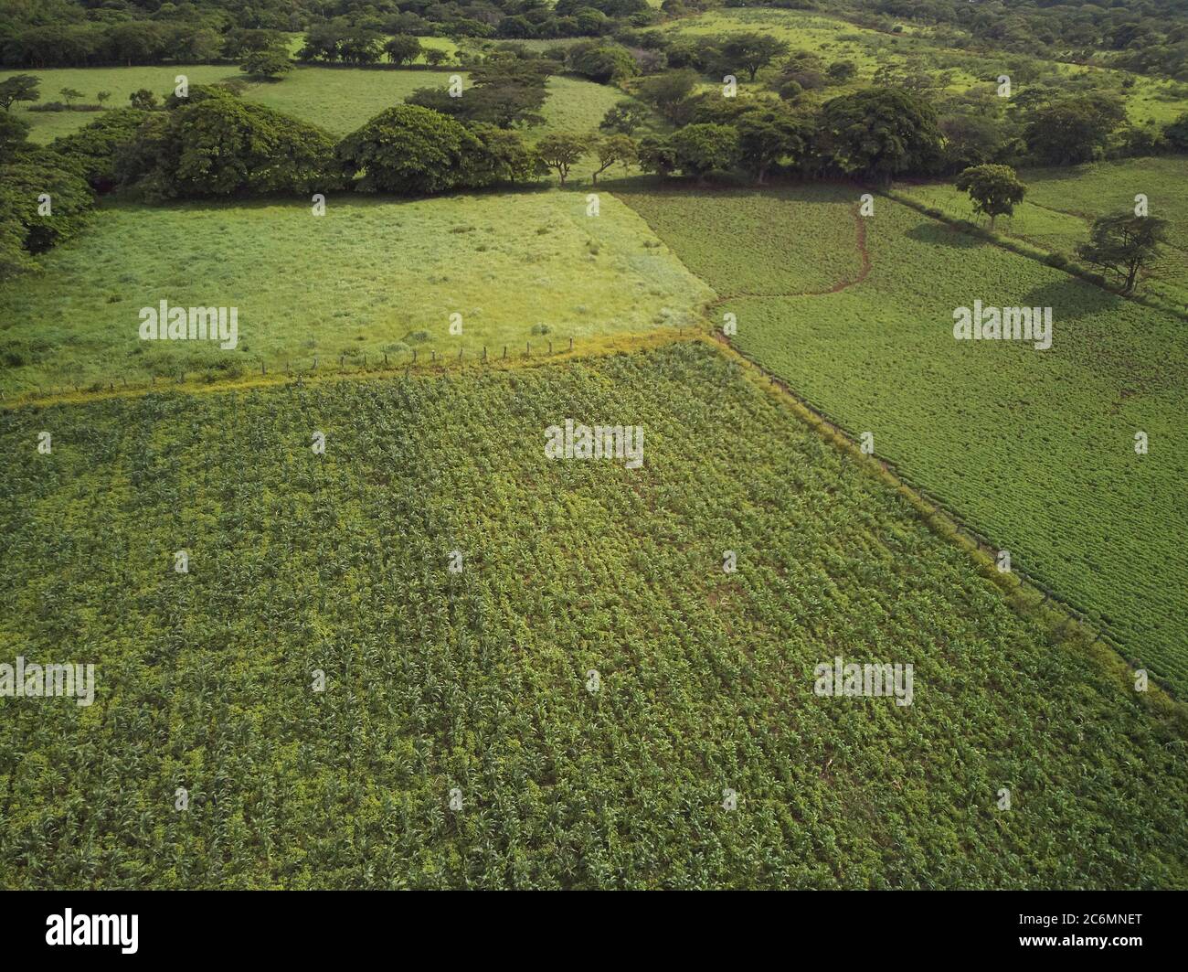 Paysage vert d'amérique centrale au-dessus de la vue de dessus Banque D'Images Paysage vert d'amérique centrale au-dessus de la vue de dessus Banque D'Images