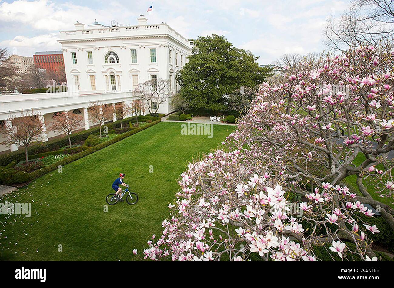 Le Président George Bush chevauche son vélo dans le jardin de roses, le 26 mars 2008. Photo par Eric Draper, gracieuseté de la George Bush Presidential Library and Museum Banque D'Images