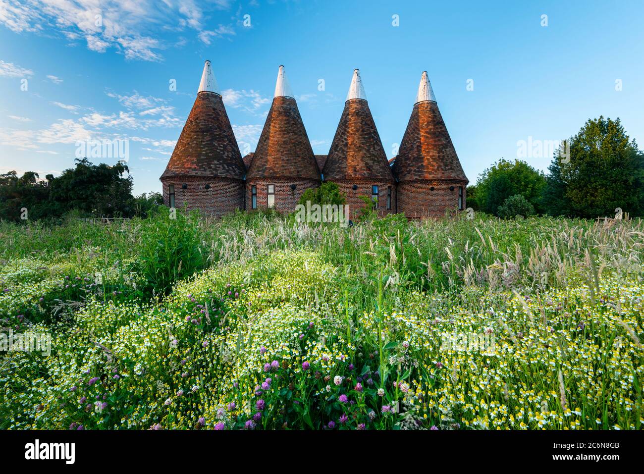 Les fleurs sauvages poussent devant une maison de quatre fours ronds dans le village d'Ickham, dans le Kent oriental. Banque D'Images