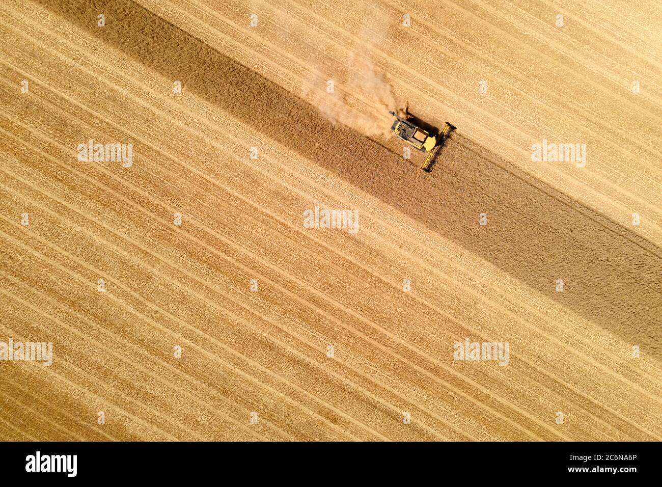 vue aérienne d'une moissonneuse-batteuse moderne en action, mettant fin à la récolte d'un champ de blé Banque D'Images