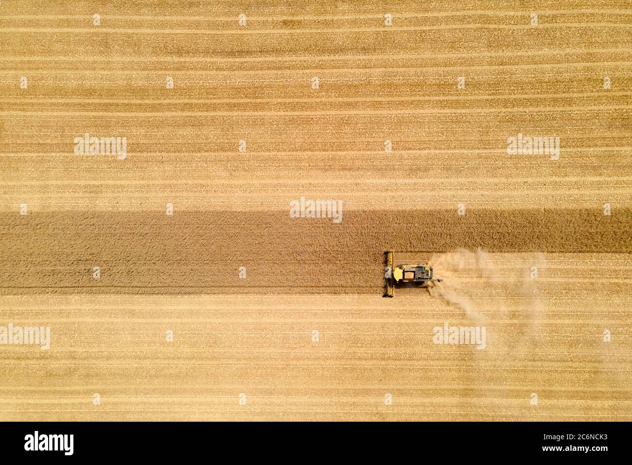 vue aérienne d'une moissonneuse-batteuse moderne en action, mettant fin à la récolte d'un champ de blé Banque D'Images