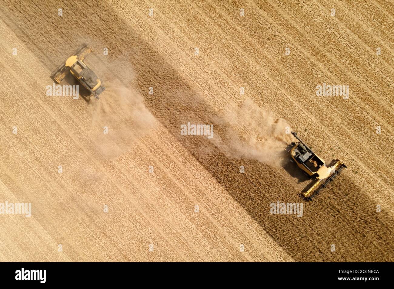 vue aérienne d'une moissonneuse-batteuse moderne en action, mettant fin à la récolte d'un champ de blé Banque D'Images