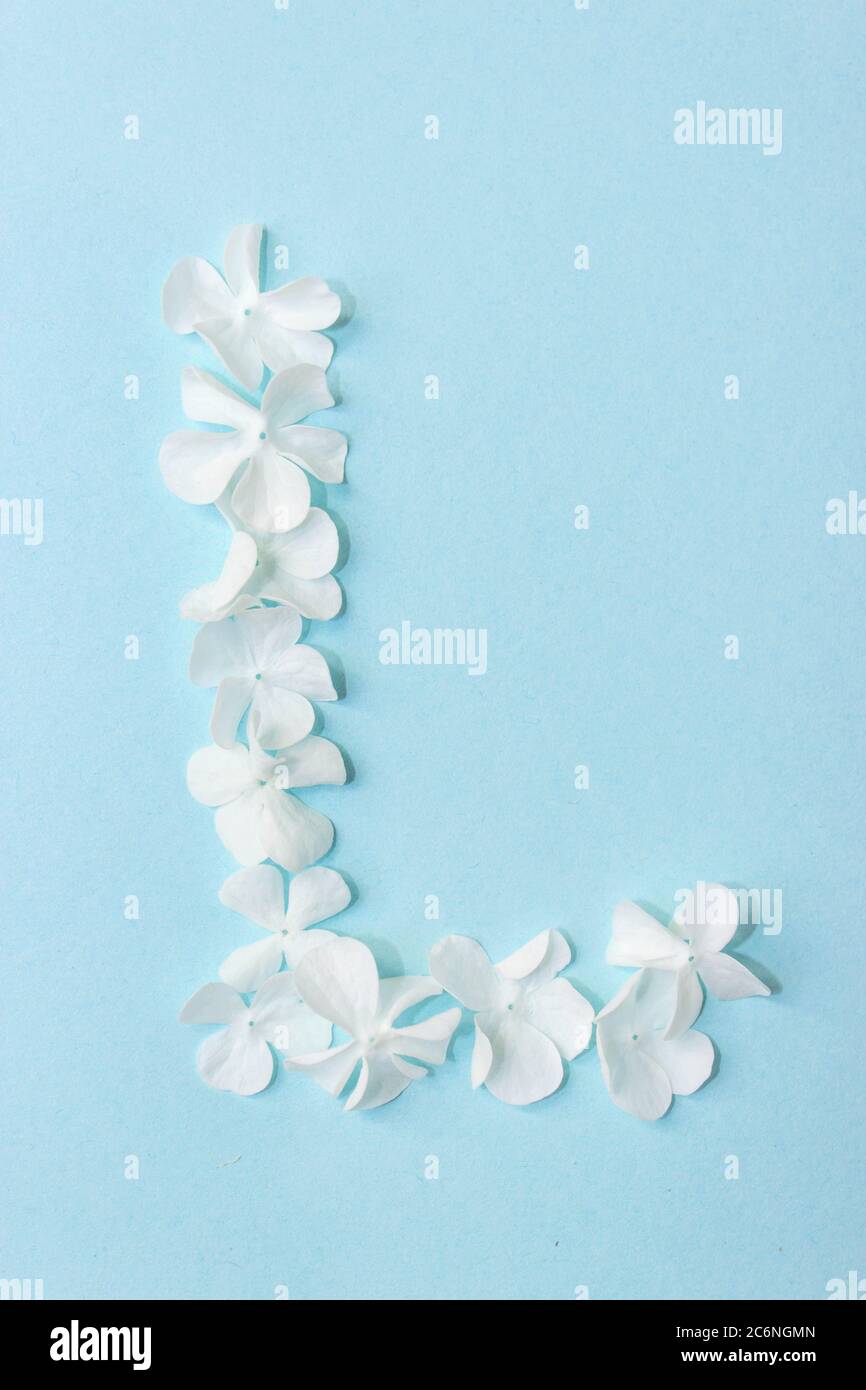 Fleur Alphabet - L. lettre faite de fleurs vivantes sur fond bleu clair Banque D'Images