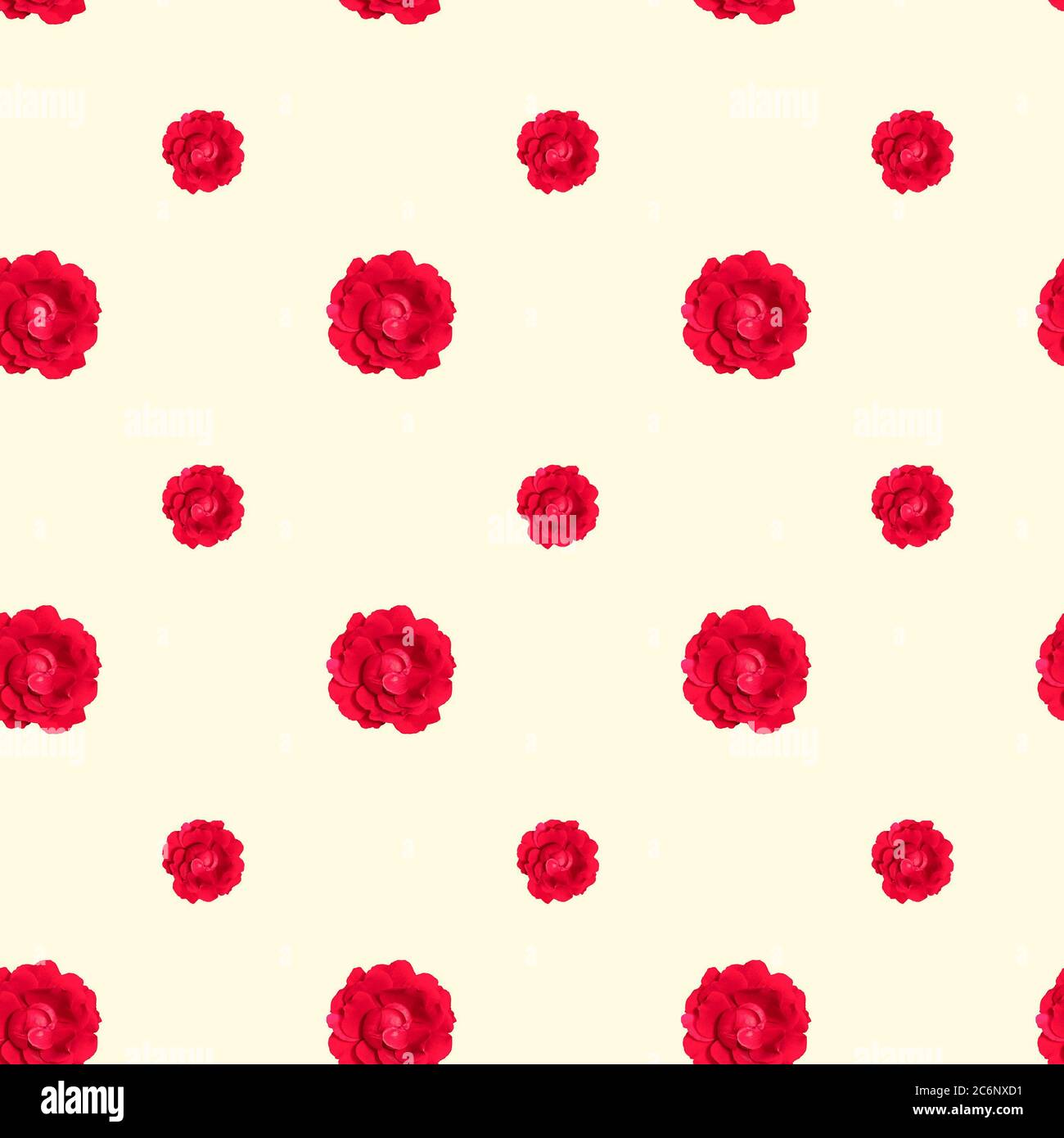 Motif fleuri sans couture avec fleurs roses rouges sur fond beige clair Banque D'Images