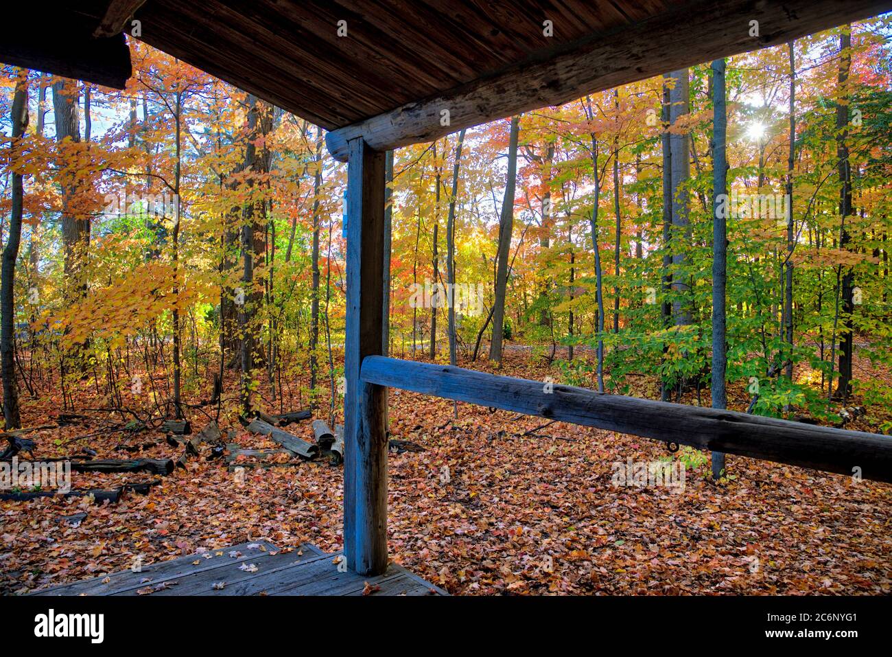 Vue depuis le porche avant d'une cabane historique en bois de pionnier, King City, Ontario, Canada. Banque D'Images