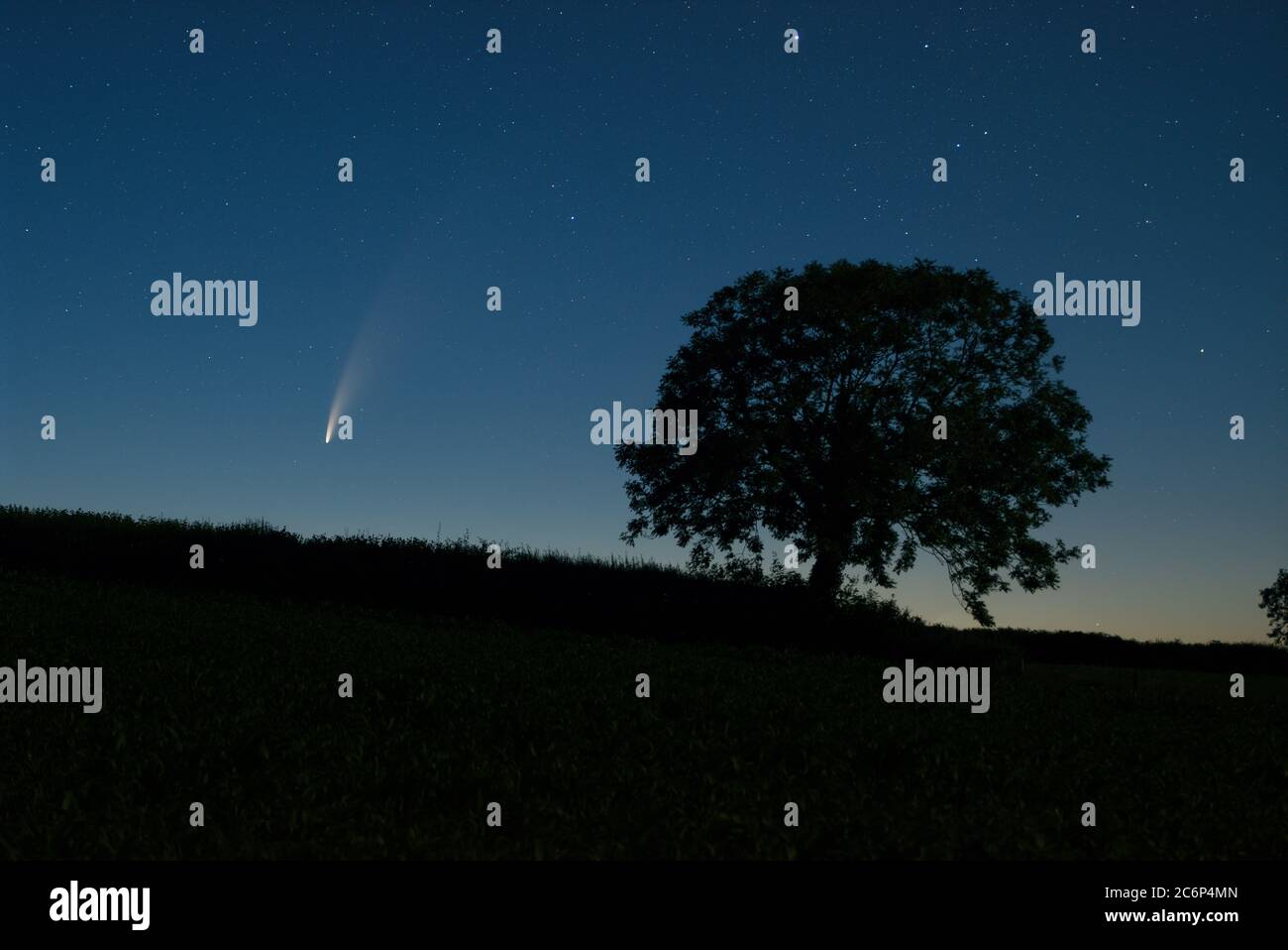Comet C/2020 F3 (NEOWISE) brille dans le ciel de l'aube de Cornwall, au Royaume-Uni Banque D'Images