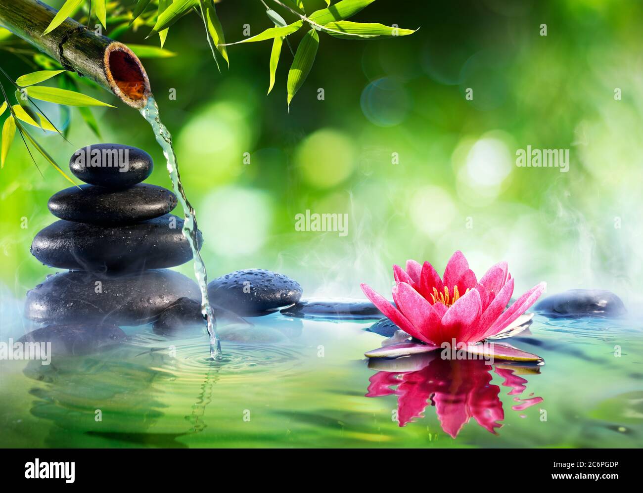 Pierres de spa et nénuphars avec fontaine dans le jardin Zen - Culture asiatique Banque D'Images