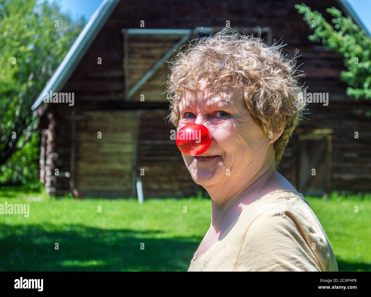 gros plan d'une femme d'âge moyen portant un nez rouge et debout à l'extérieur d'une grange d'époque par une journée ensoleillée Banque D'Images