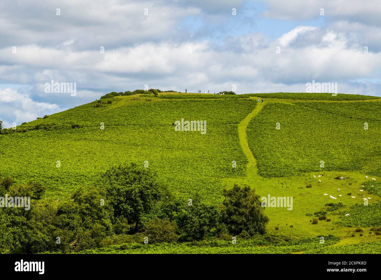 Mynydd Illtyd Common dans le parc national de Brecon Beacons, dans le sud du pays de Galles Banque D'Images