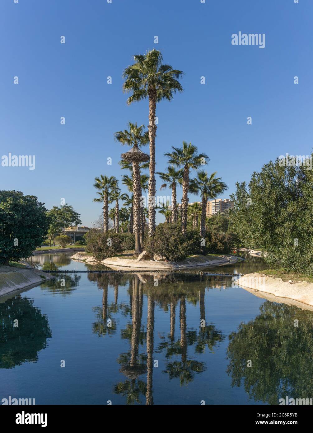 Jardins dans l'ancien lit sec de la rivière Turia - reflet des palmiers dans l'eau artificielle du canal. Europe, Valence, Espagne, Gigapan Banque D'Images