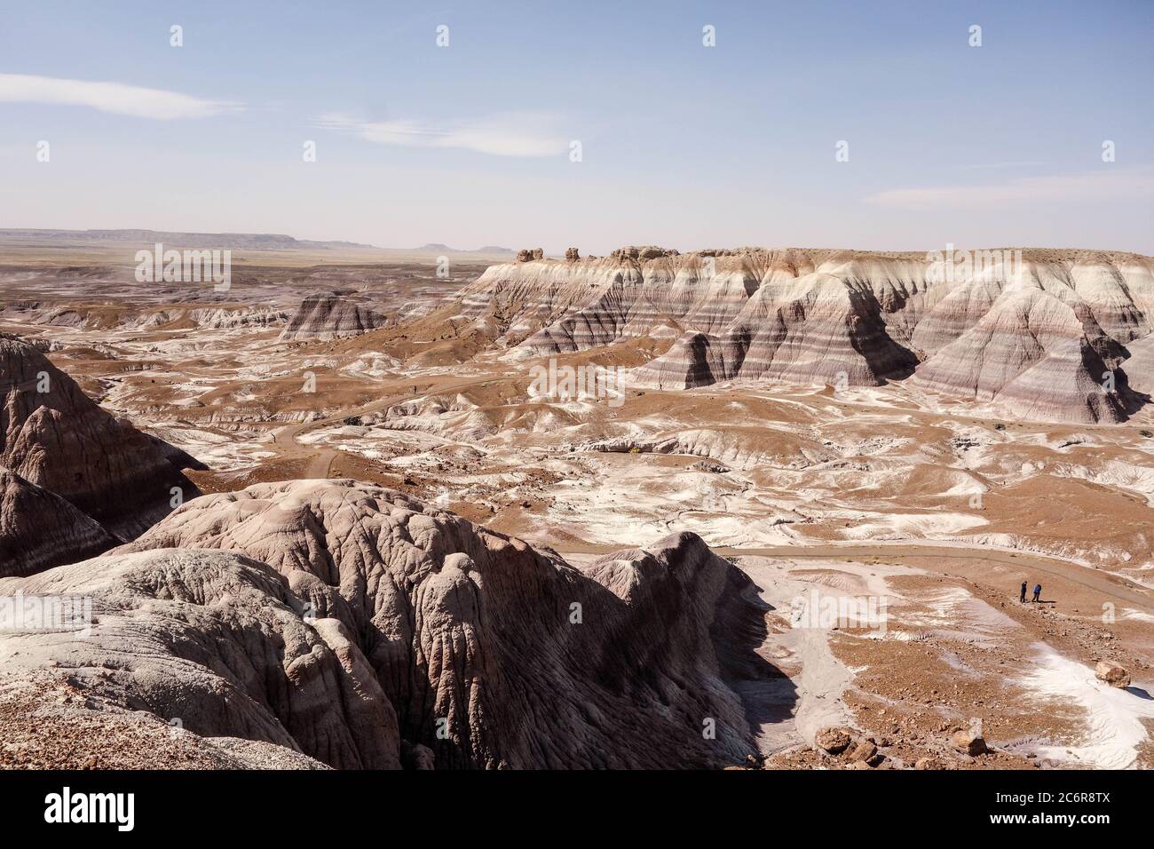 Paysage extra-terrestre dans le parc national de la Forêt pétrifiée, Arizona Banque D'Images