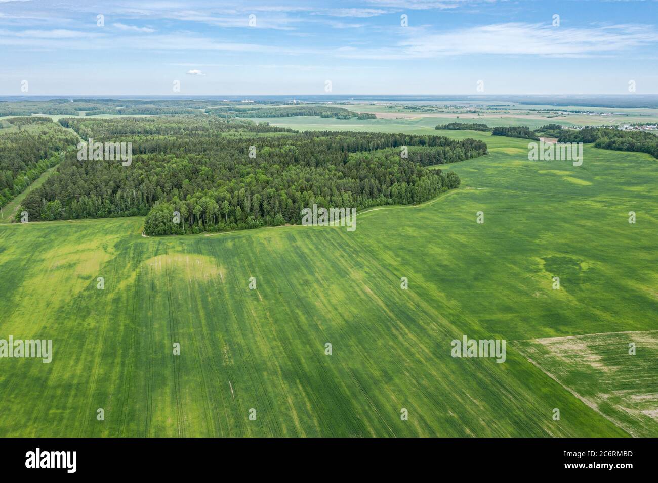 paysage de campagne avec champs verts et forêt sous ciel bleu le jour de l'été. vue aérienne Banque D'Images
