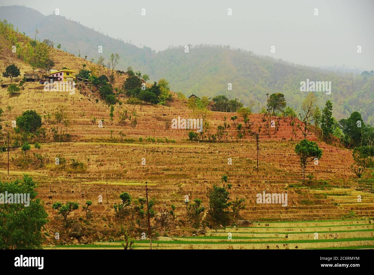 Champs agricoles secs du Népal, vus d'une route reliant les provinces de Gandaki Pradesh et Bagmati Pradesh. Banque D'Images