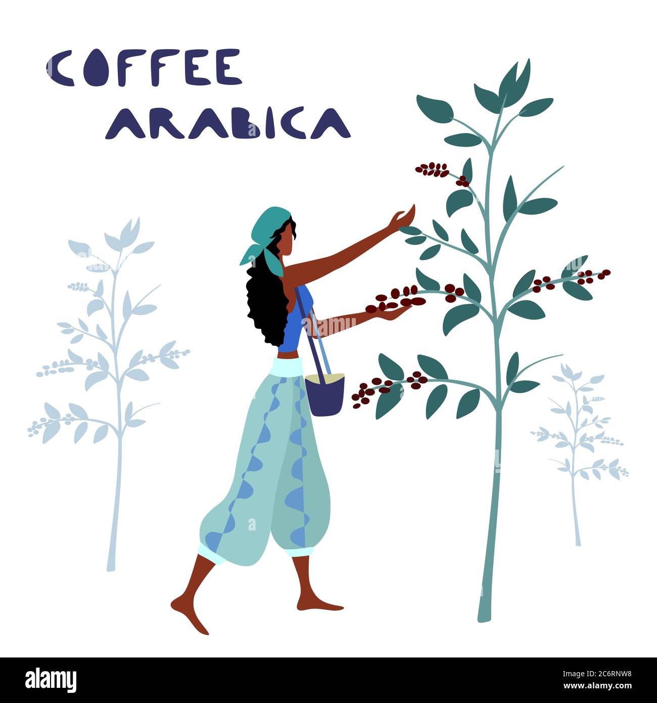 Une femme non identifiée cultivateur de café récolte des baies de café dans la ferme de café Illustration de Vecteur