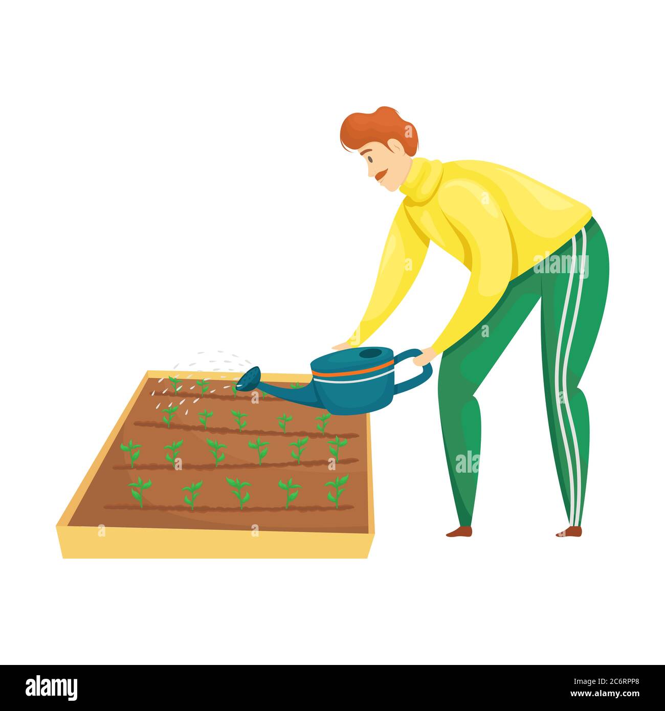 Un homme arrose les plantations sur les lits à partir d'un arrosoir. Plantation, légumes en pleine croissance. Le soin du jardin. Illustration de Vecteur