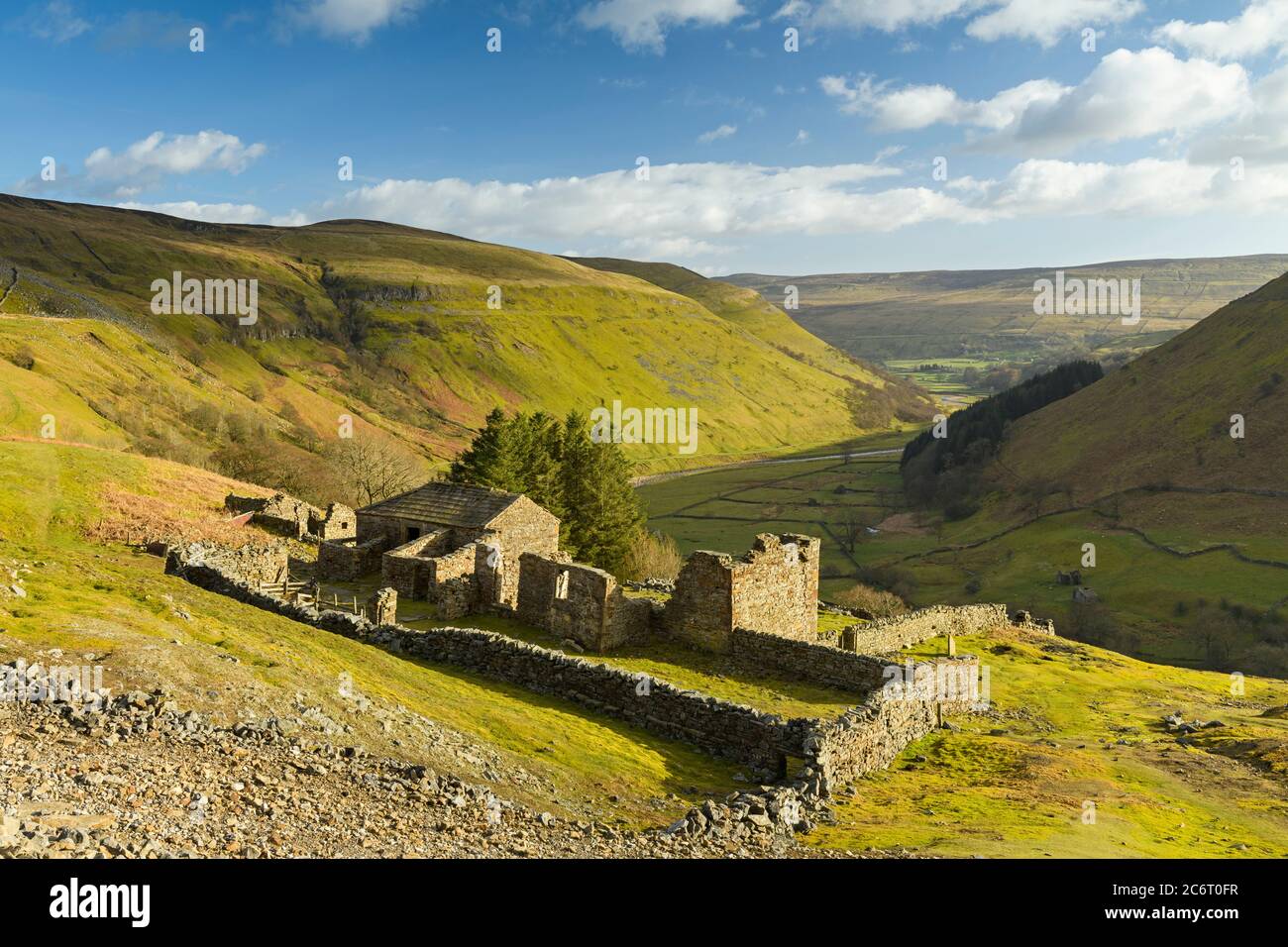 Crity Hall (ruines de la vieille ferme), haut sur une colline ensoleillée et isolée, surplombant les collines et la vallée rurales pittoresques du Yorkshire Dales (Swaledale) - Angleterre, Royaume-Uni. Banque D'Images